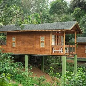 Misty Mountain Experience By Perfect Pirmed